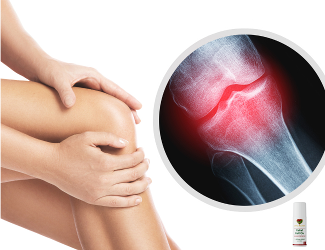 Benefits of Delta Nourish roll-on for joint pain and muscle soreness relief.