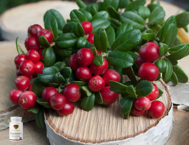 Eco-friendly packaging for Delta Nourish Sleep Gummies with natural ingredients.